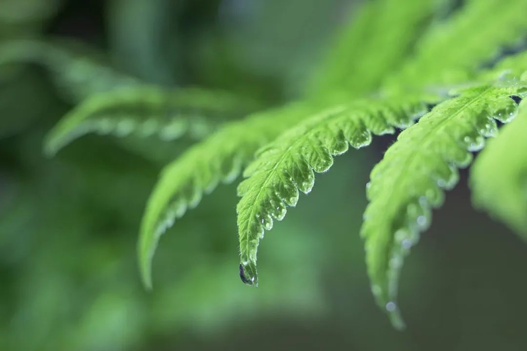 嘉·时光 | “树懒”爸爸成长记