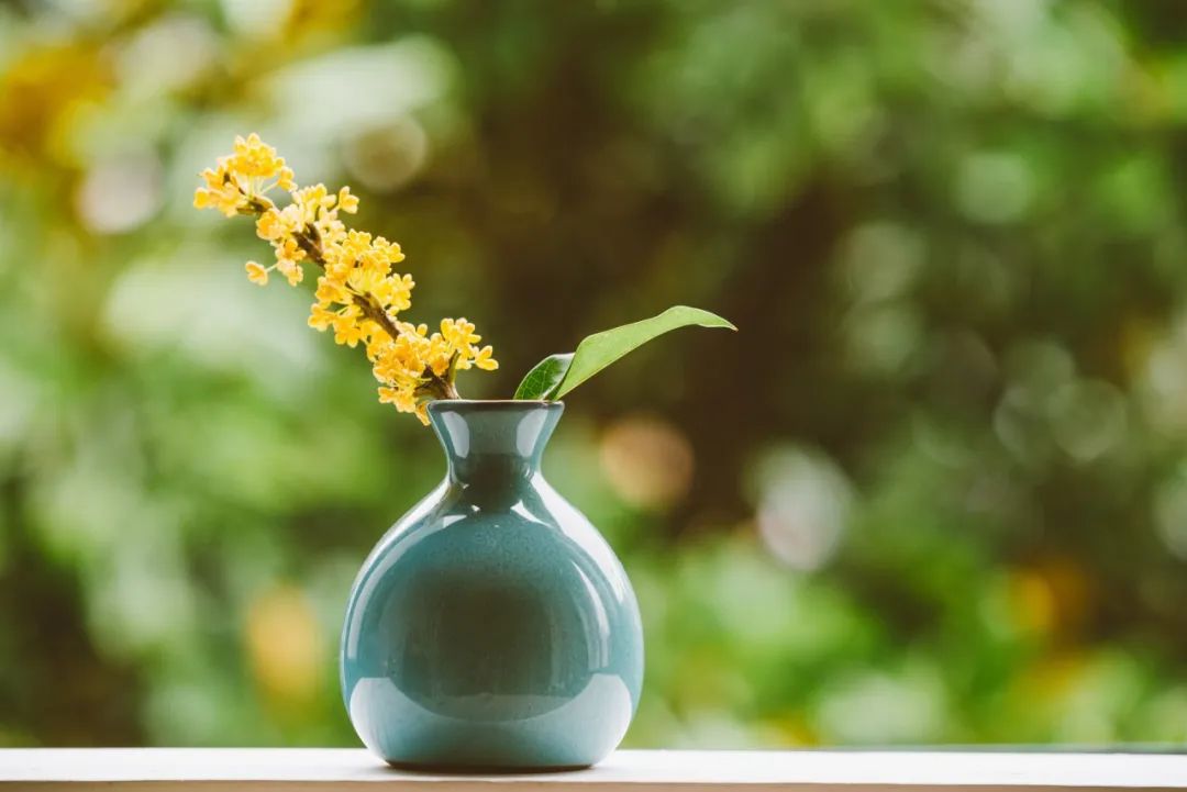 嘉·时光|桂花飘香